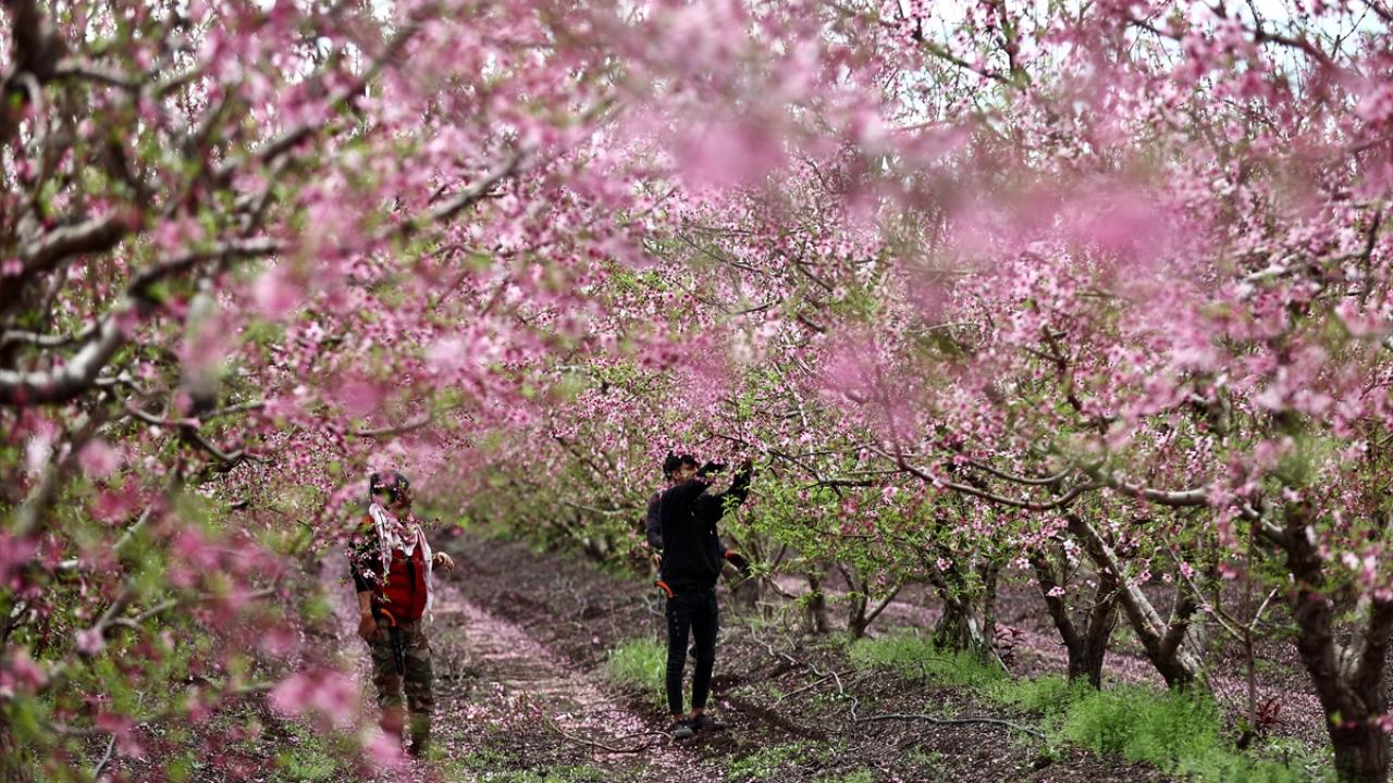 Burası depremin vurduğu Amik Ovası... 5