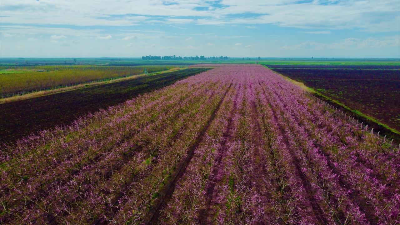 Burası depremin vurduğu Amik Ovası... 2