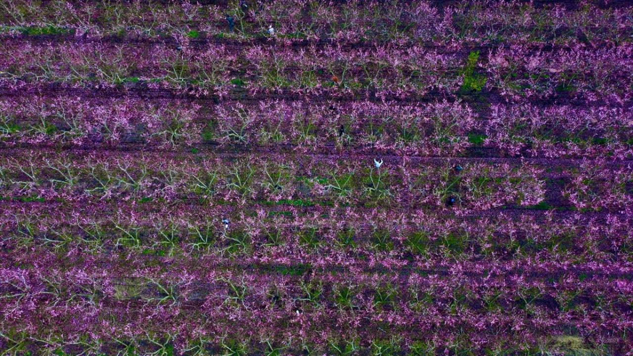 Burası depremin vurduğu Amik Ovası... 13