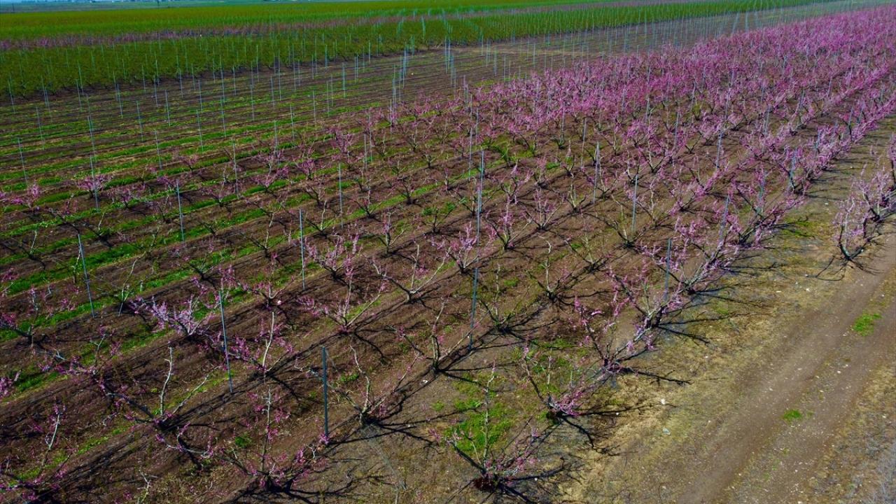 Burası depremin vurduğu Amik Ovası... 9