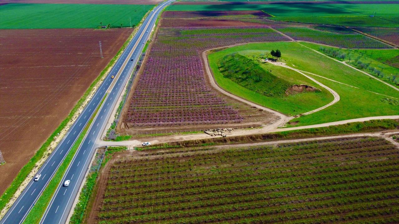 Burası depremin vurduğu Amik Ovası... 11