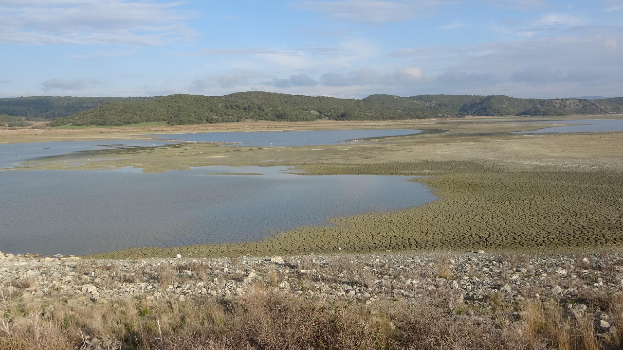 Uzunhızırlı Göleti kuruma noktasına geldi, kuşlar bölgeyi terk etti 8