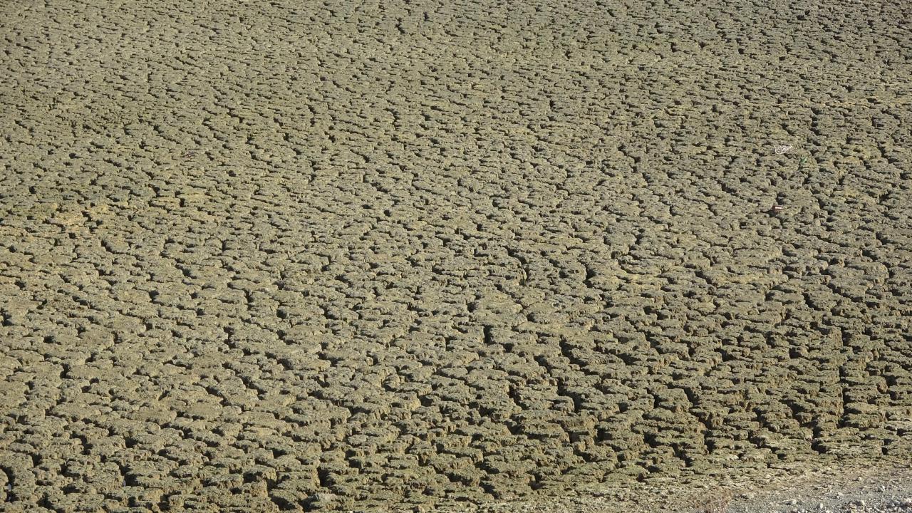 Uzunhızırlı Göleti kuruma noktasına geldi, kuşlar bölgeyi terk etti 7