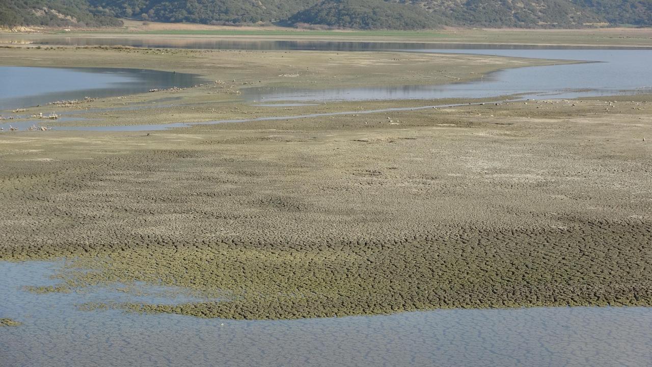 Uzunhızırlı Göleti kuruma noktasına geldi, kuşlar bölgeyi terk etti 5