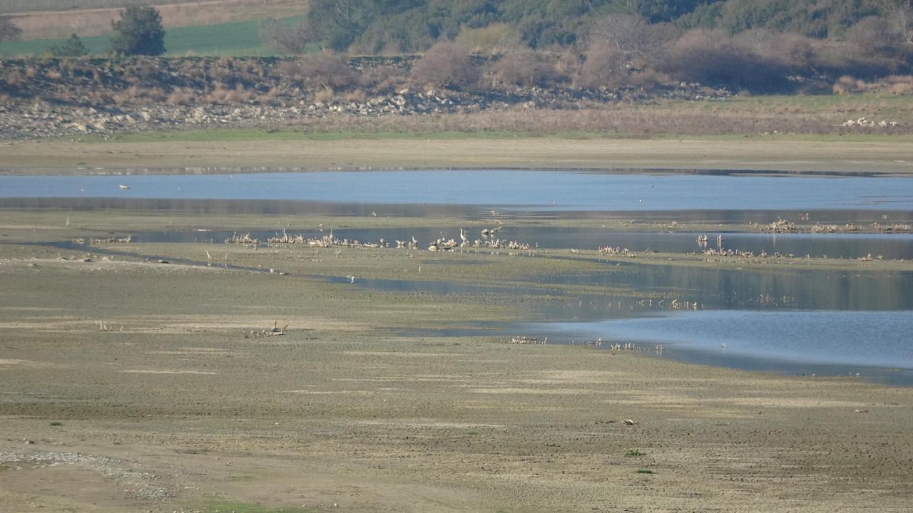Uzunhızırlı Göleti kuruma noktasına geldi, kuşlar bölgeyi terk etti 1