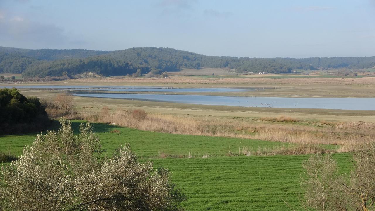 Uzunhızırlı Göleti kuruma noktasına geldi, kuşlar bölgeyi terk etti 4