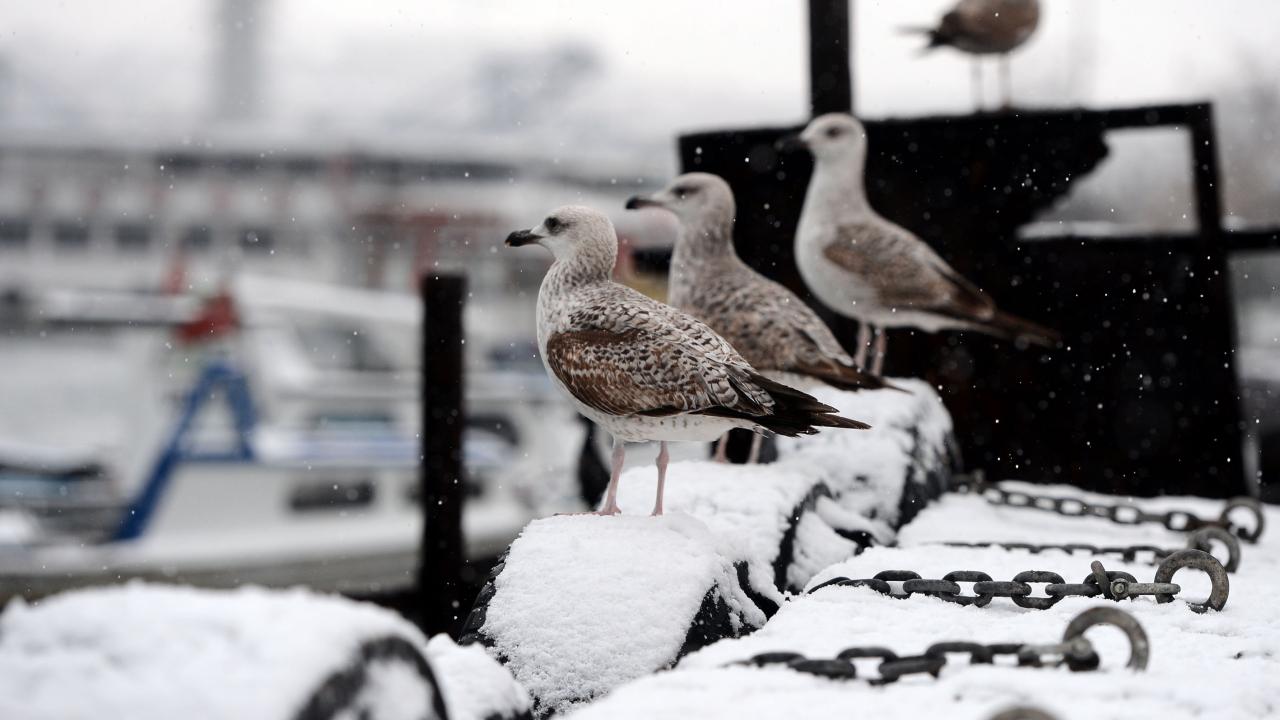 Kar geliyor: İşte yağış beklenen 23 il... 1