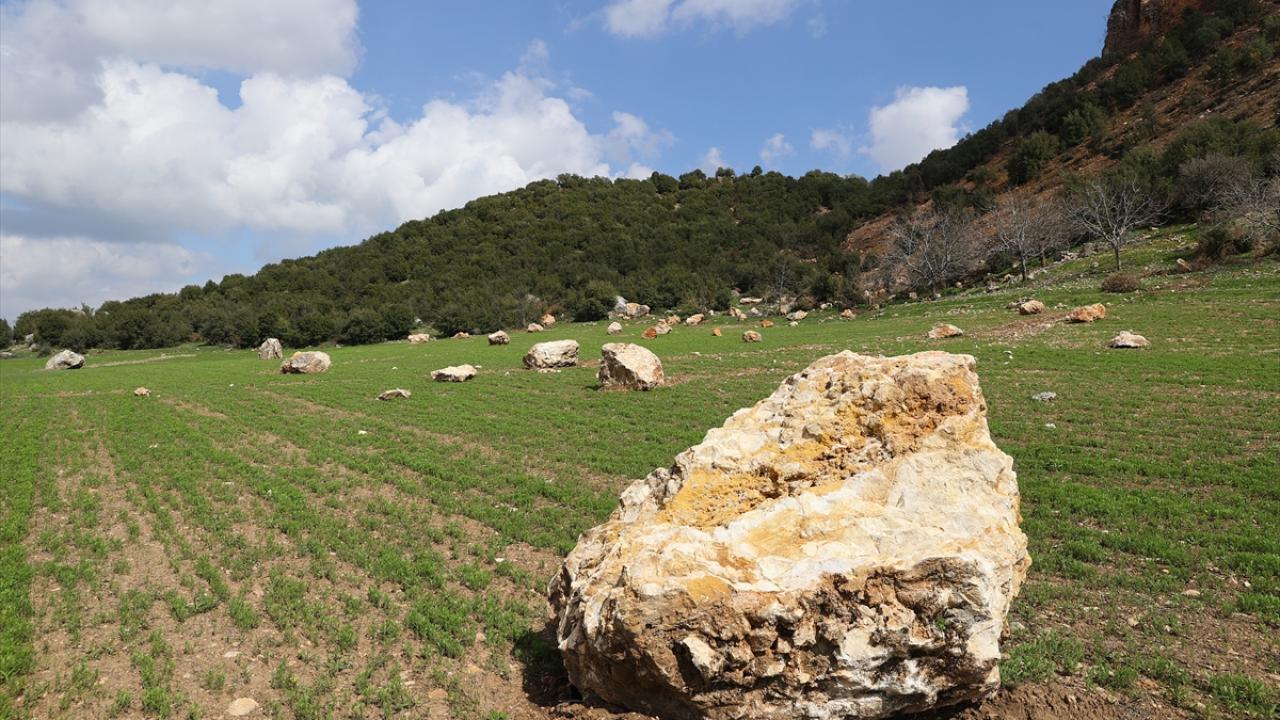 Buğday tarlasına kaya yağdı 8