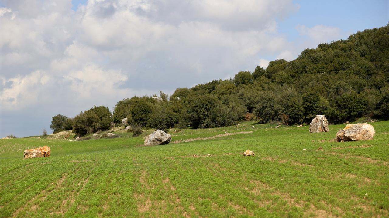 Buğday tarlasına kaya yağdı 12