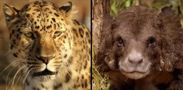 Yapay zeka düşünceleri görsele çevirdi 1