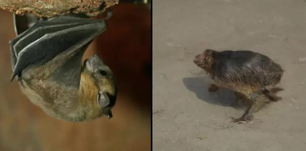 Yapay zeka düşünceleri görsele çevirdi 2