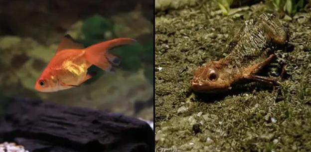 Yapay zeka düşünceleri görsele çevirdi 9