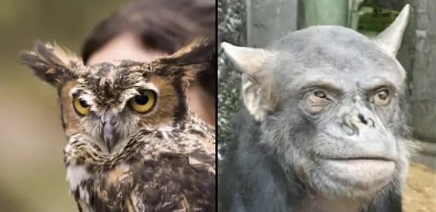 Yapay zeka düşünceleri görsele çevirdi 10