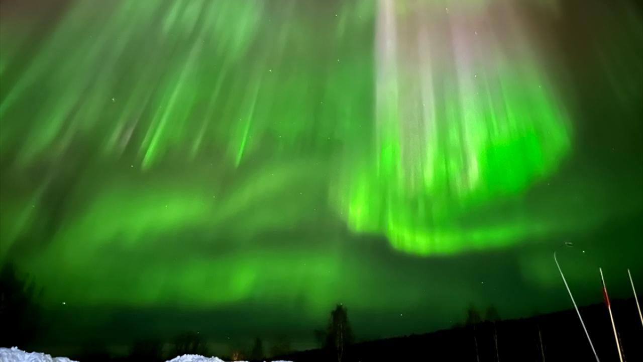 Onlar karanlık gecelerin büyülü ışıkları... 3