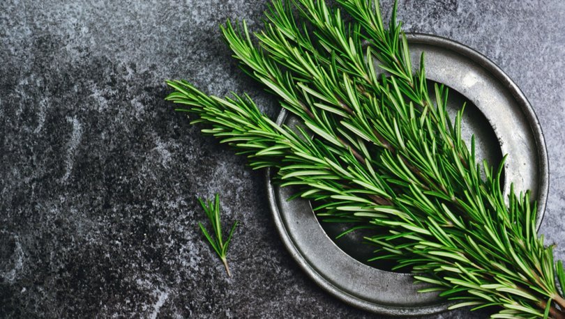 Alzheimer hastalığının doğal ilacı! Bu besini tüketen hiçbir şeyi unutmuyor! 31