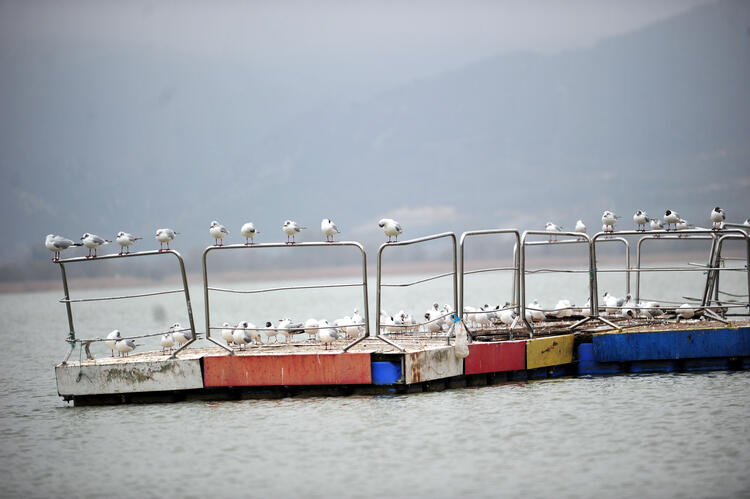 Adım adım geri çekiliyor: Kayıkların geçtiği köprünün altı park alanı oldu 7