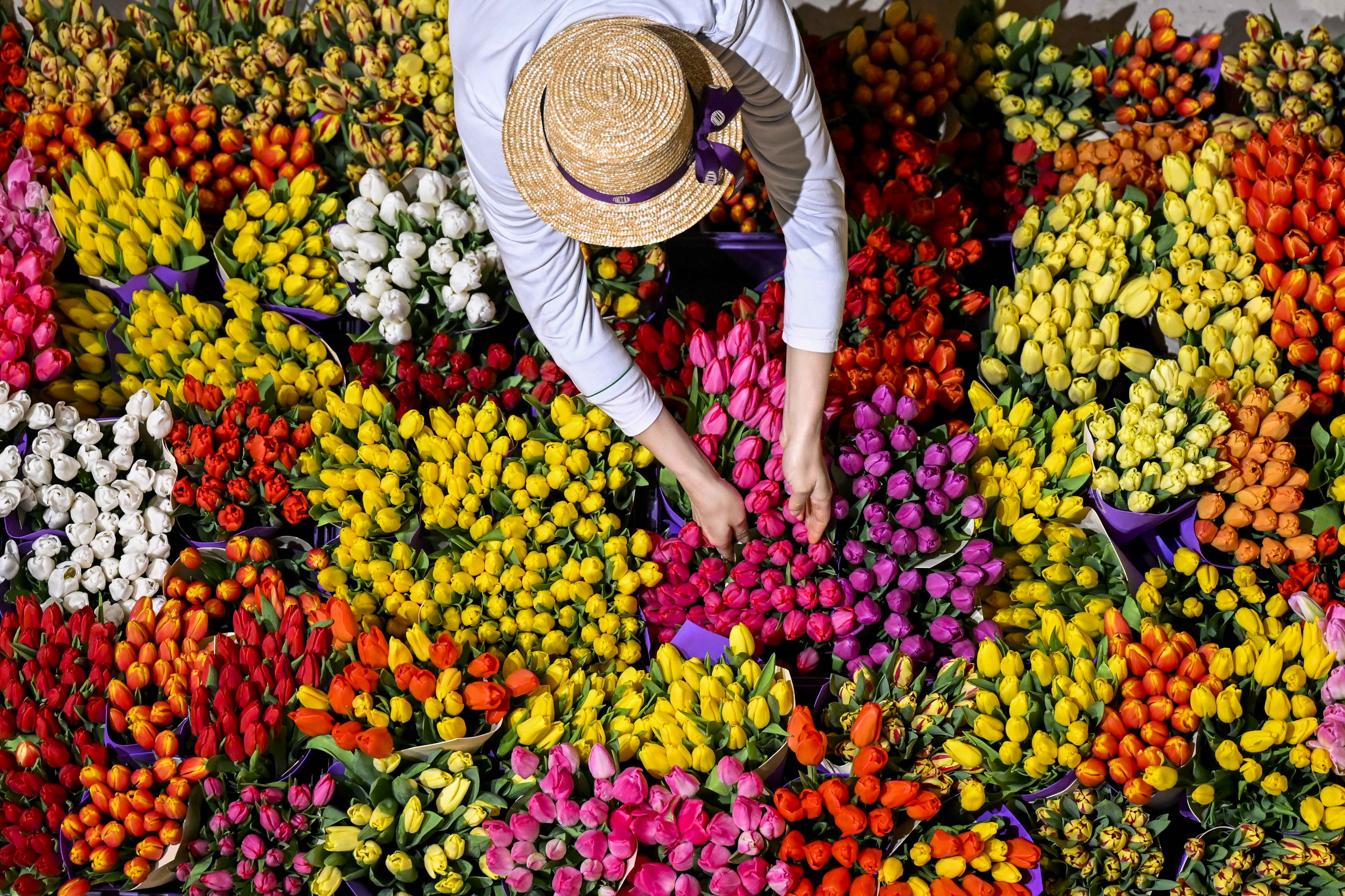 Moskova'da ’'Çiçeklerin Geçidi Fuarı’' 1