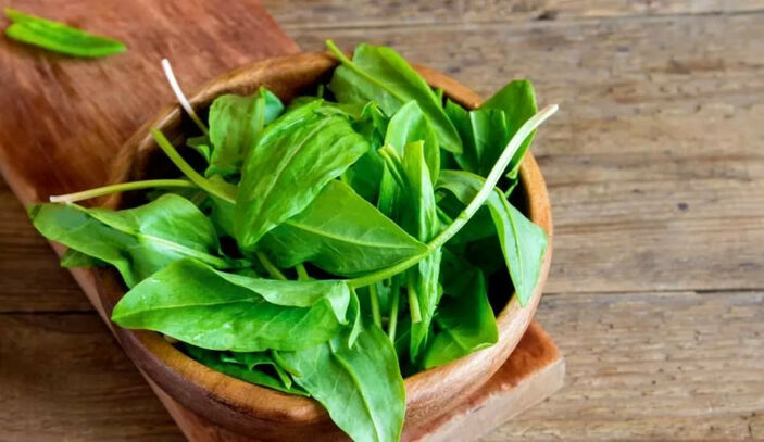 Doğadaki en güçlü mikrop öldürücü oymuş! Tokat'a akın edin, orada yetişiyor! 6