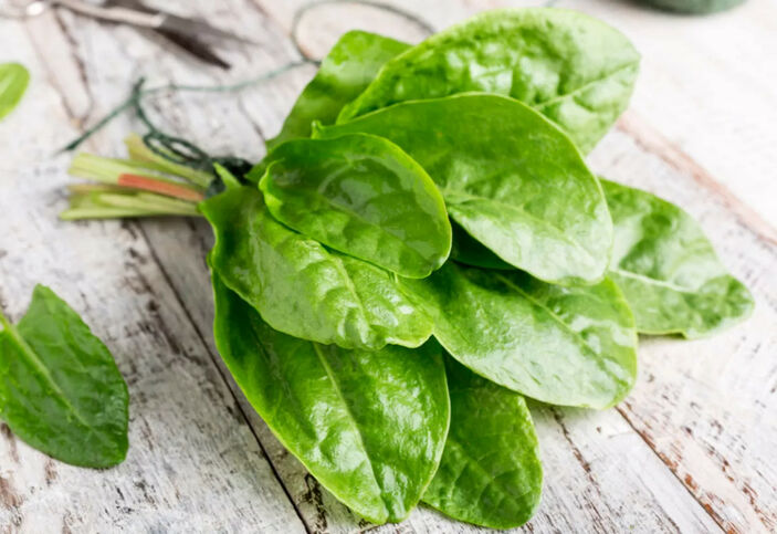 Doğadaki en güçlü mikrop öldürücü oymuş! Tokat'a akın edin, orada yetişiyor! 3