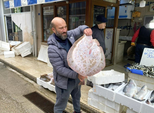 karadeniz-de-avlanan-yaklasik-9-kiloluk-kalkan-15704823_9027_m