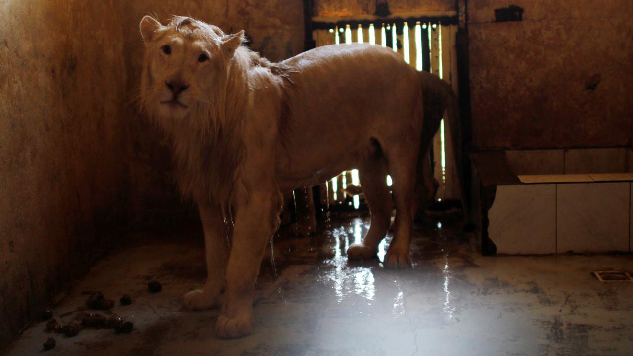 Tarihe geçen şakalarla "1 Nisan" 5