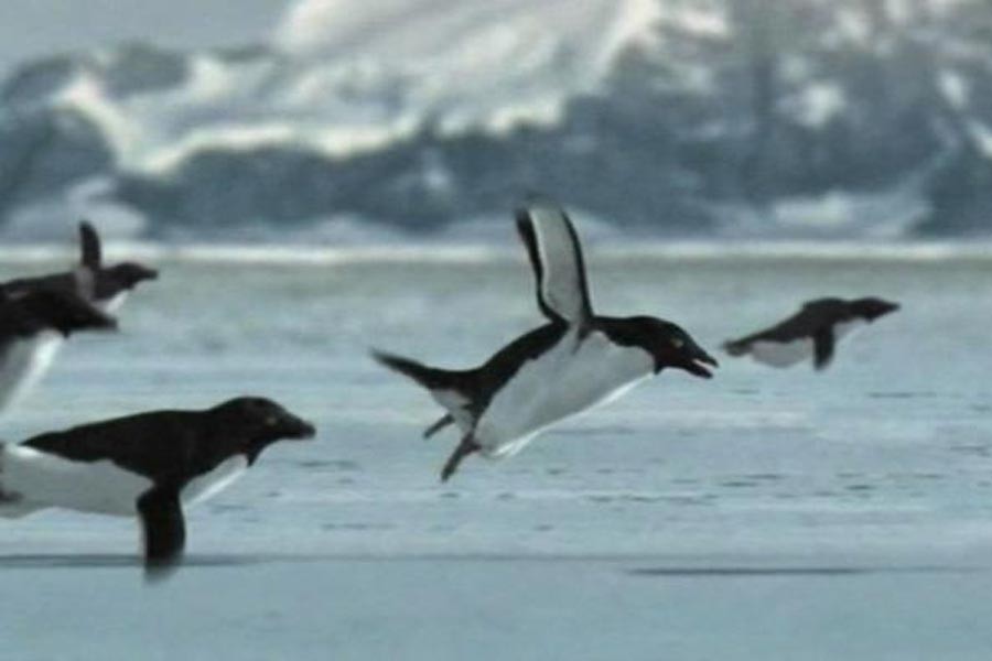 Tarihe geçen şakalarla "1 Nisan" 11