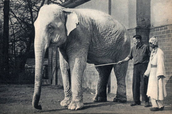 Tarihe geçen şakalarla "1 Nisan" 21