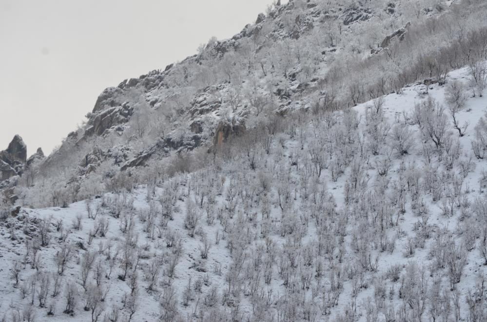 Nisan karı Şırnak'ı beyaza bürüdü 9