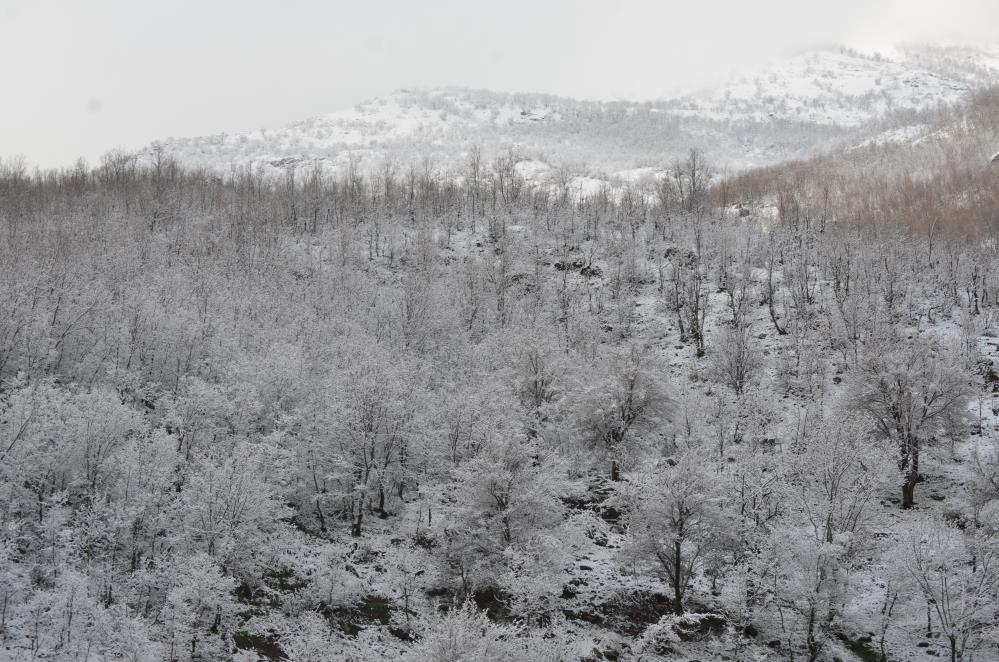 Nisan karı Şırnak'ı beyaza bürüdü 10