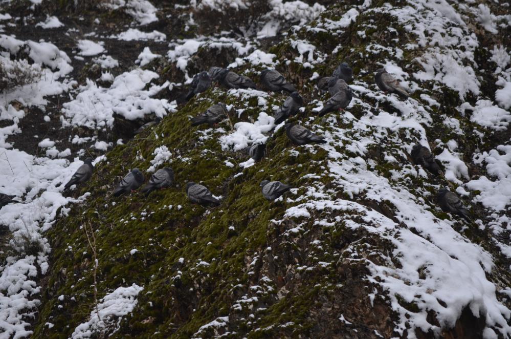 Nisan karı Şırnak'ı beyaza bürüdü 7