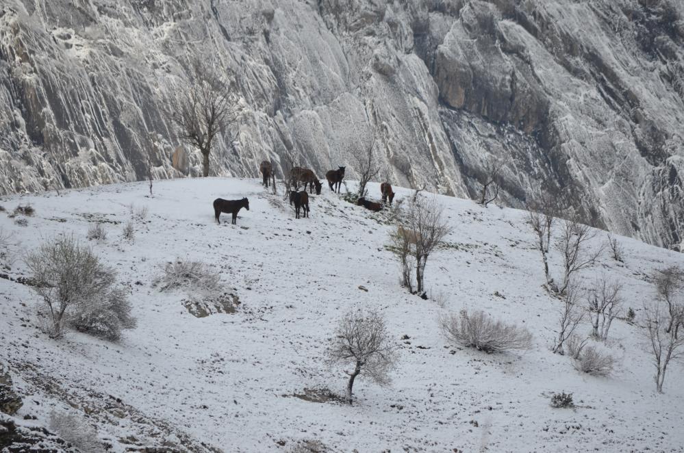 Nisan karı Şırnak'ı beyaza bürüdü 3