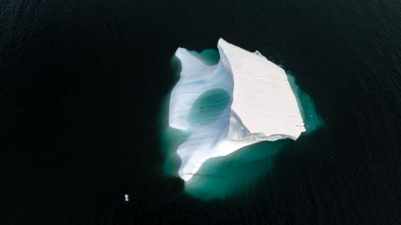 Canlı yaşamının koruyucusu Türk bilim insanları Antarktika'da kirliliğin izini sürüyor 36