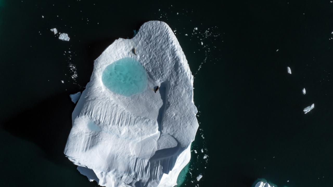 Canlı yaşamının koruyucusu Türk bilim insanları Antarktika'da kirliliğin izini sürüyor 3