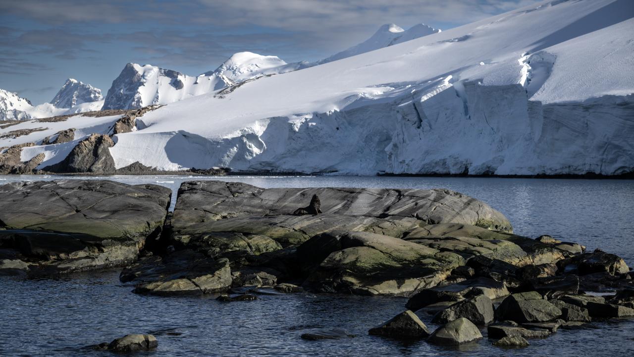Canlı yaşamının koruyucusu Türk bilim insanları Antarktika'da kirliliğin izini sürüyor 27