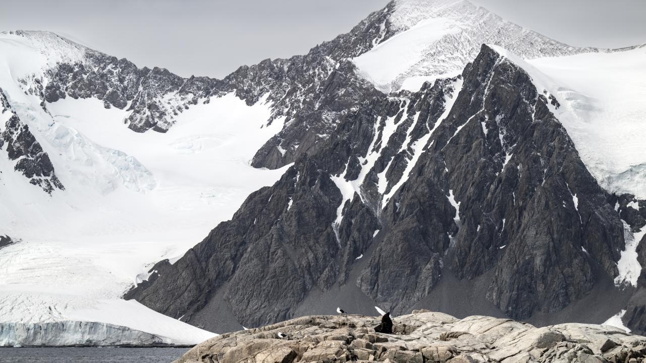 Canlı yaşamının koruyucusu Türk bilim insanları Antarktika'da kirliliğin izini sürüyor 20