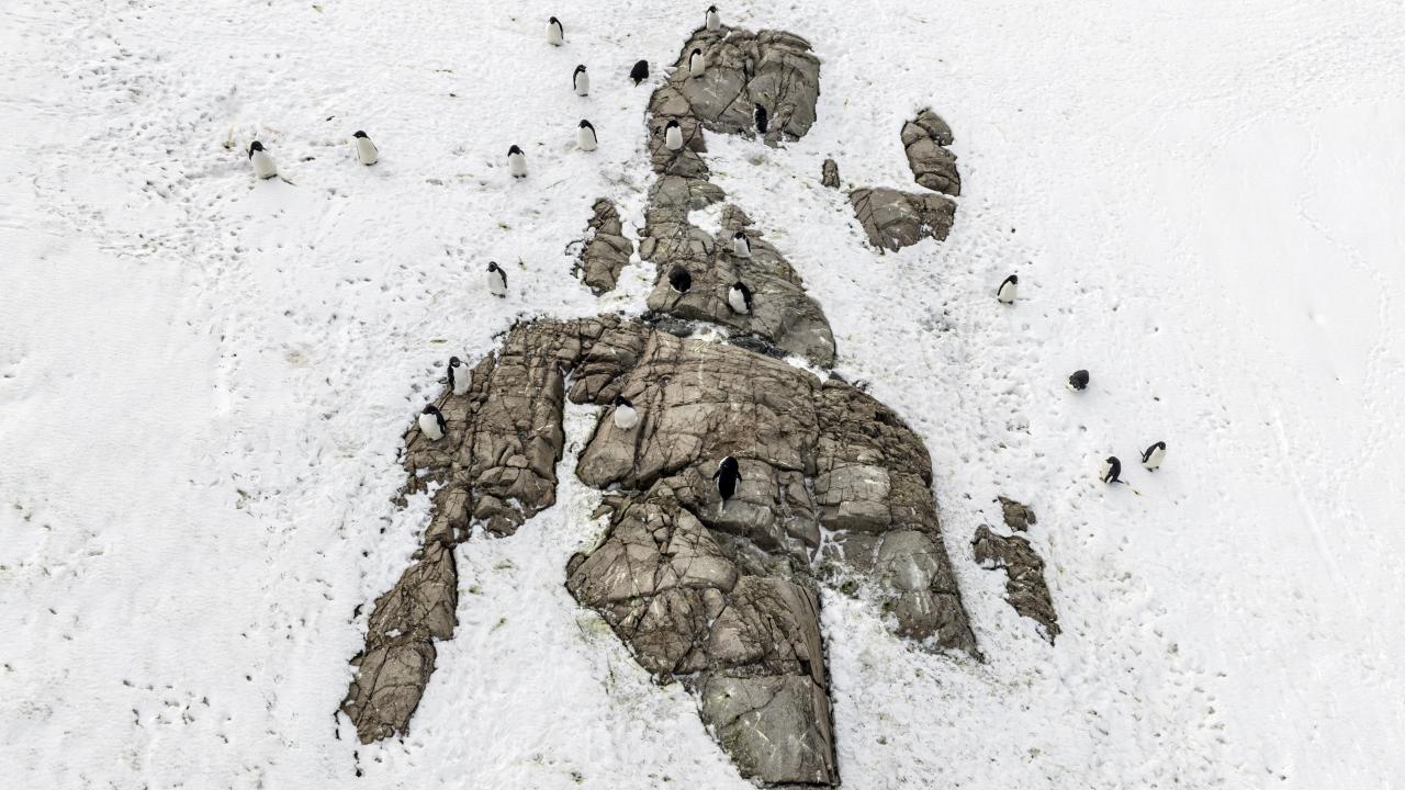 Canlı yaşamının koruyucusu Türk bilim insanları Antarktika'da kirliliğin izini sürüyor 17