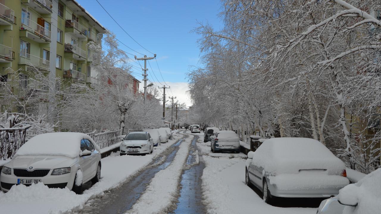 Erzurum, ilkbaharda yağan karla beyaza büründü 2