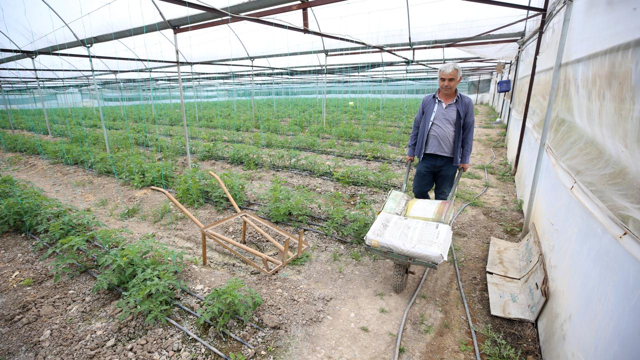 Kahramanmaraşlı depremzede çiftçiler seralarında üretimi sürdürüyor 5