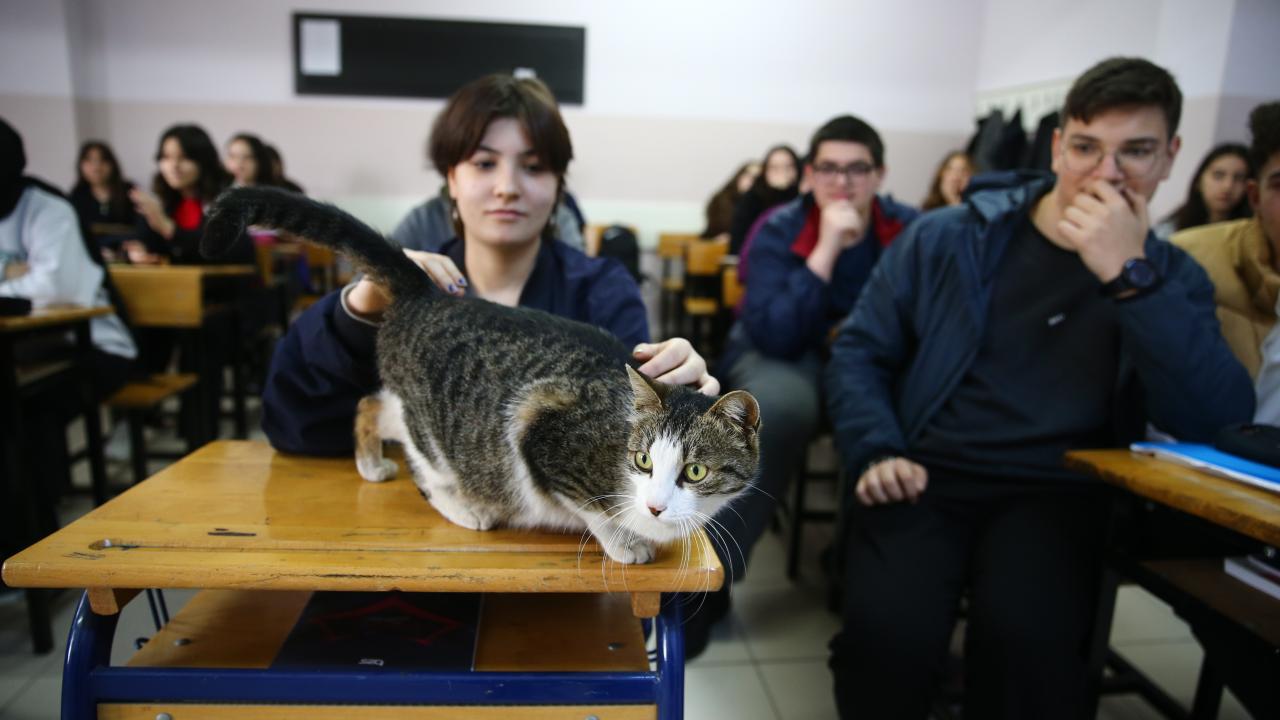 Öğrencilerin hayata döndürdüğü "Sempatik" okulun maskotu oldu 6