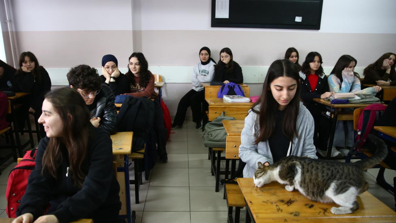 Öğrencilerin hayata döndürdüğü "Sempatik" okulun maskotu oldu 4