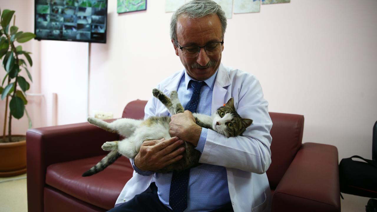 Öğrencilerin hayata döndürdüğü "Sempatik" okulun maskotu oldu 3