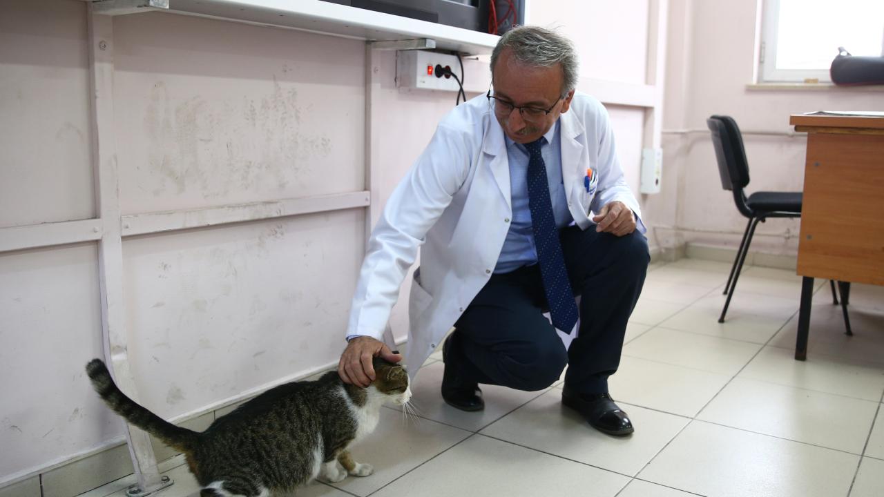 Öğrencilerin hayata döndürdüğü "Sempatik" okulun maskotu oldu 2