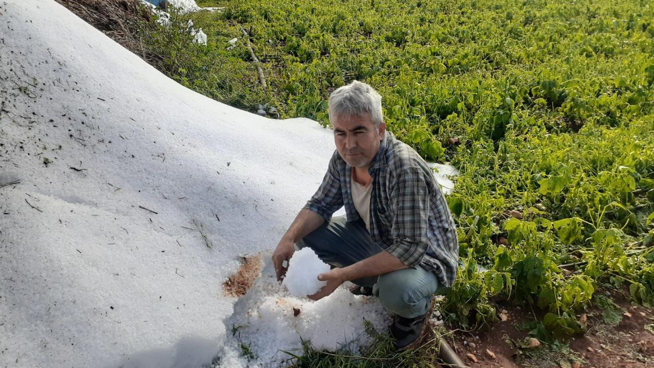 Erdemli’de dolu yağışı çiftçiyi vurdu 5