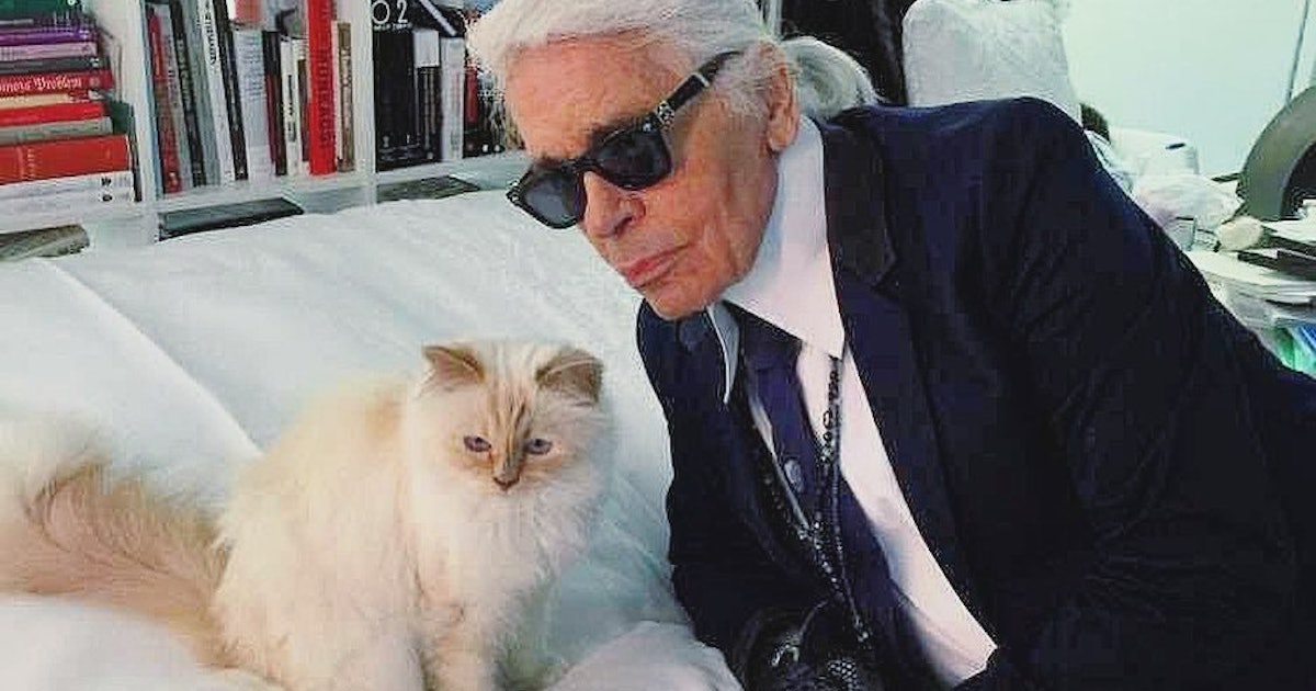 Dünyanın en zengin kedisi milyonluk mirasına kavuşmayı bekliyor 9