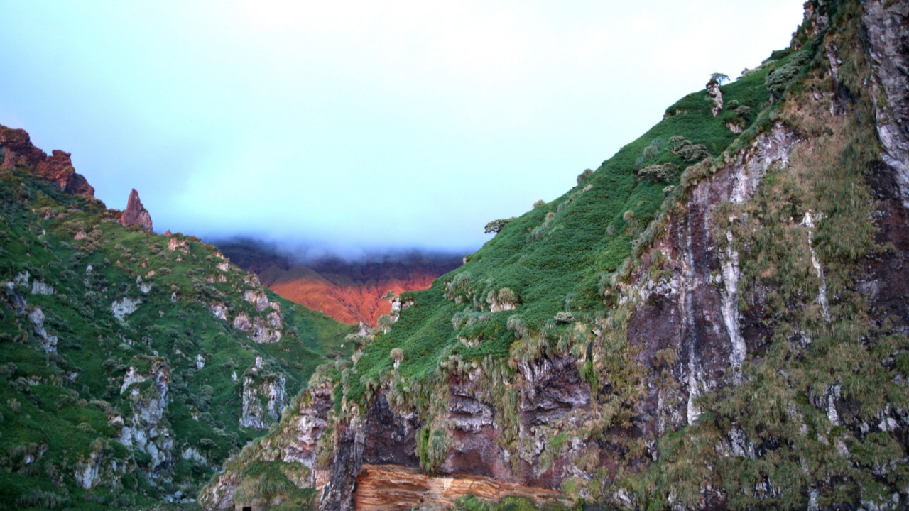 Dünyanın en ücra yerlerinden Gough Adası’nda çalışacak biri aranıyor 9