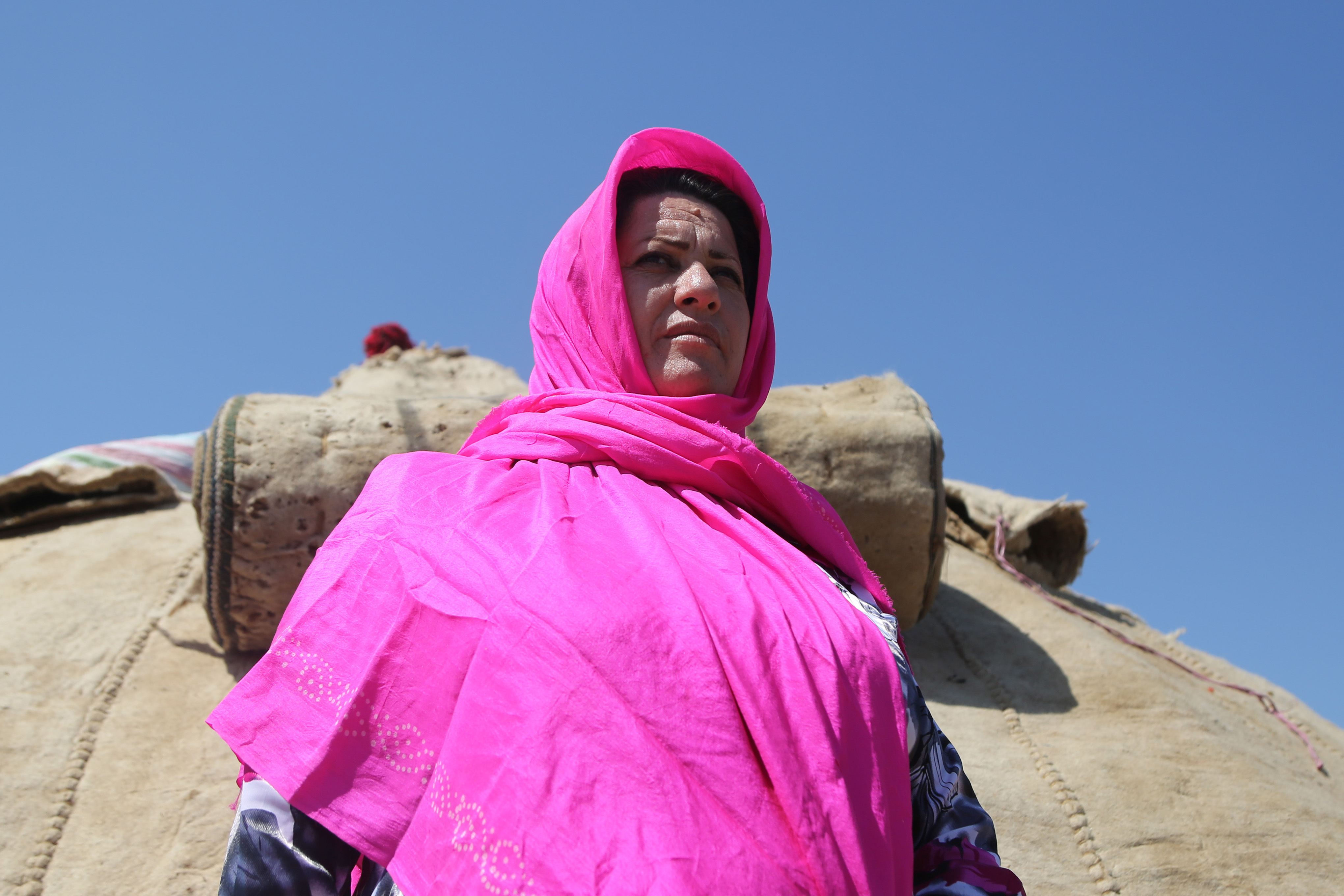 İran'daki göçebe Türk kadınları... 12