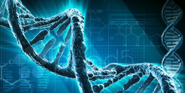 Asırlık insanlar uzun yaşamın sırlarını anlattı... 'Sürekli yatmayı sevmem, saat 6'dan sonra ağzıma lokma atmam' 2