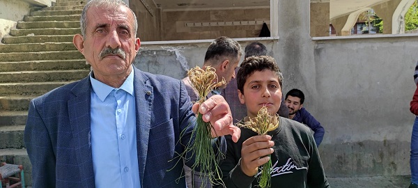 Her yerde bulunmuyor! Kilosu bin lira ama yok satıyor 4