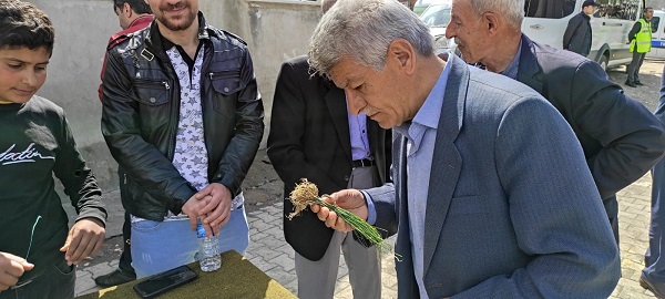 Her yerde bulunmuyor! Kilosu bin lira ama yok satıyor 7