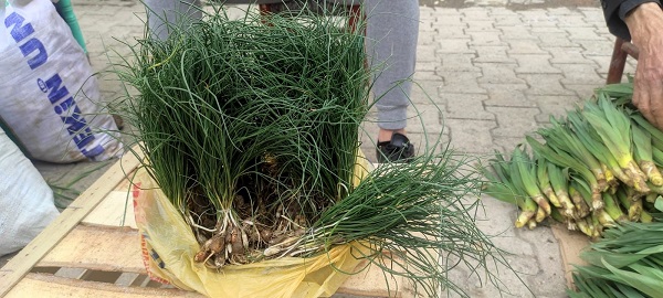 Her yerde bulunmuyor! Kilosu bin lira ama yok satıyor 1